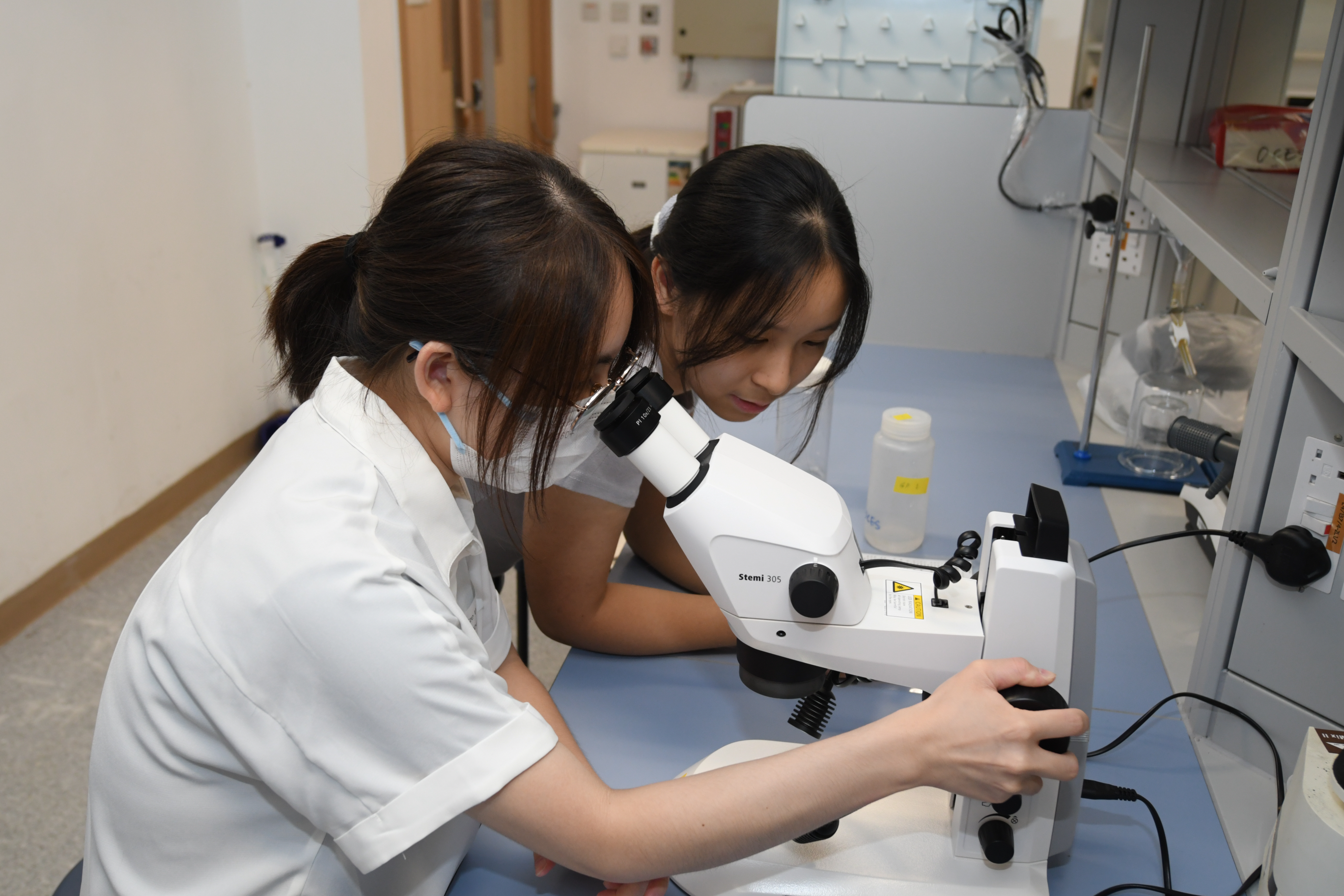 Using microscope to observe plankton