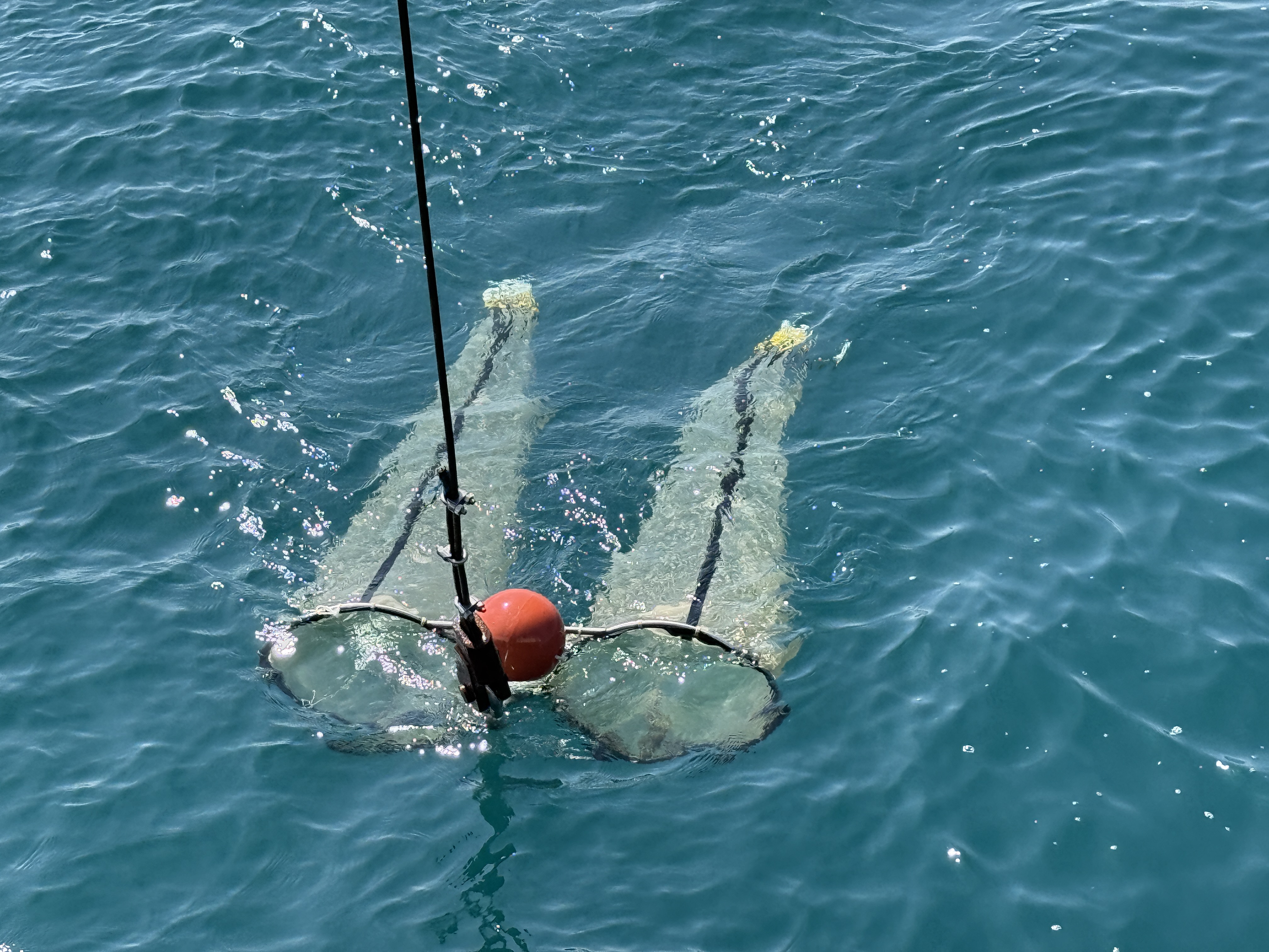 HKUST Ocean Day 2026_Educational Cruise Experience_11