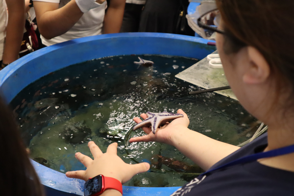 untitled_design_600x400