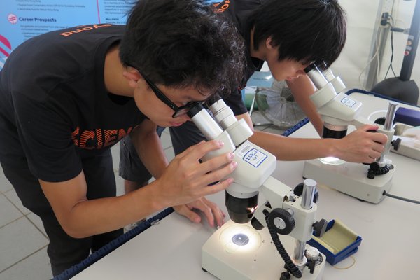 Seeing Microscope